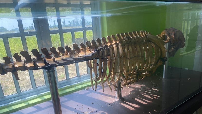Related article image