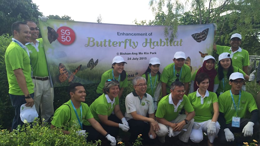 Bishan-Ang Mo Kio Park to blossom into habitat for more butterflies