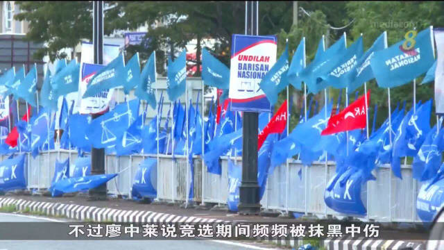 专家：马国一些有名望的独立人士其实有胜算
