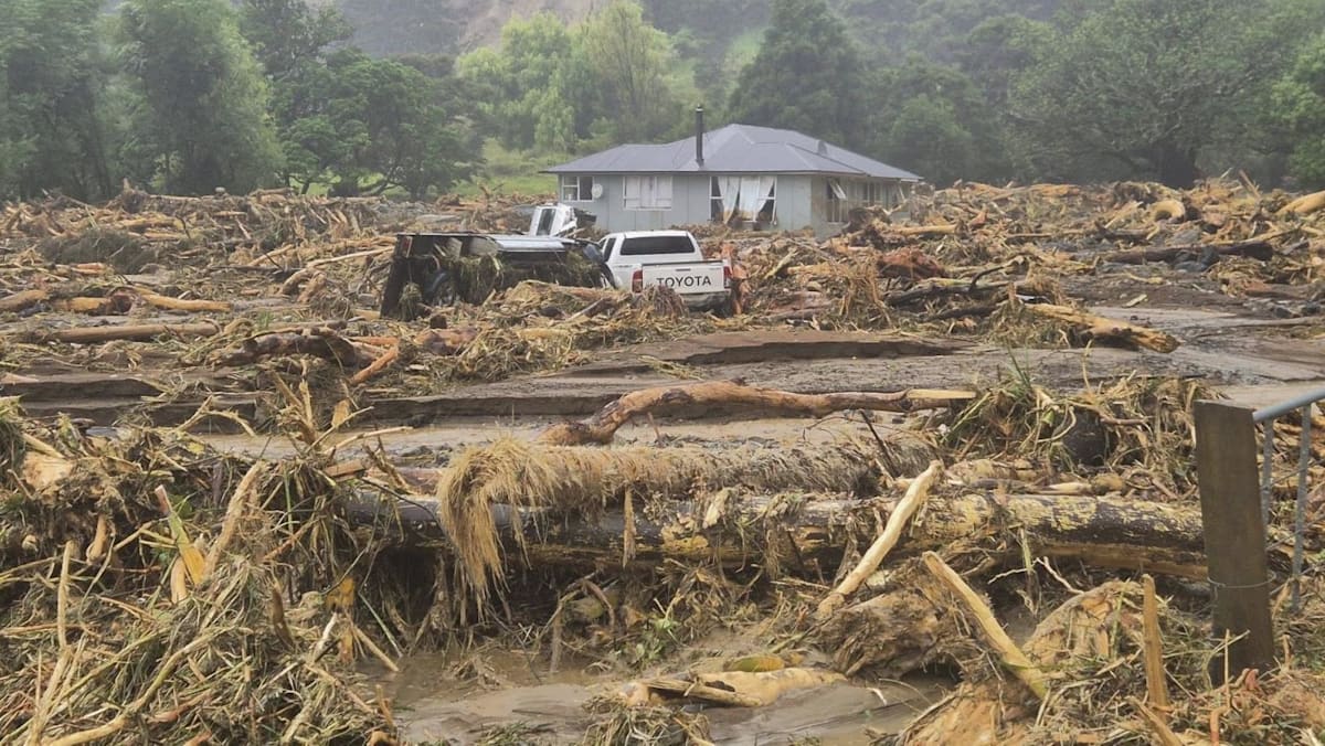 Tragic Landslide at Mount Maunganui: Multiple Missing