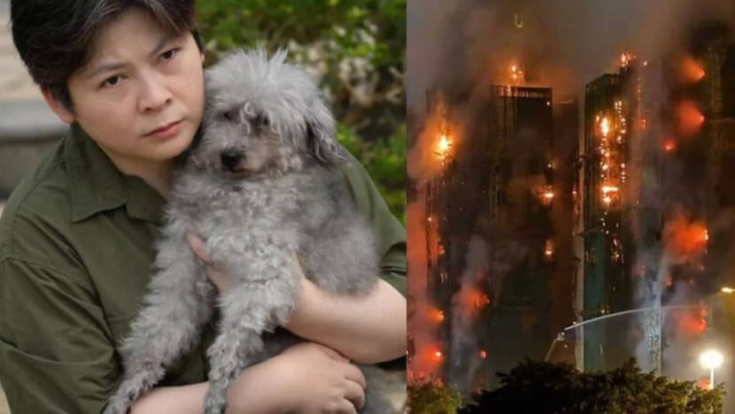 How A Note Stuck On A Wall Saved This 15-Yr-Old Poodle Trapped In The Tai Po Fire