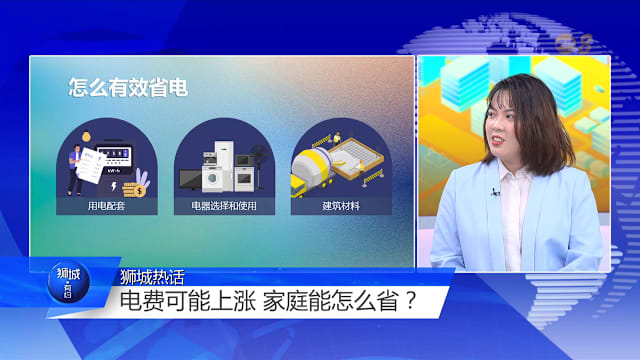 狮城有约 | 天然气减供未来电需增 电费会一路飙升吗？