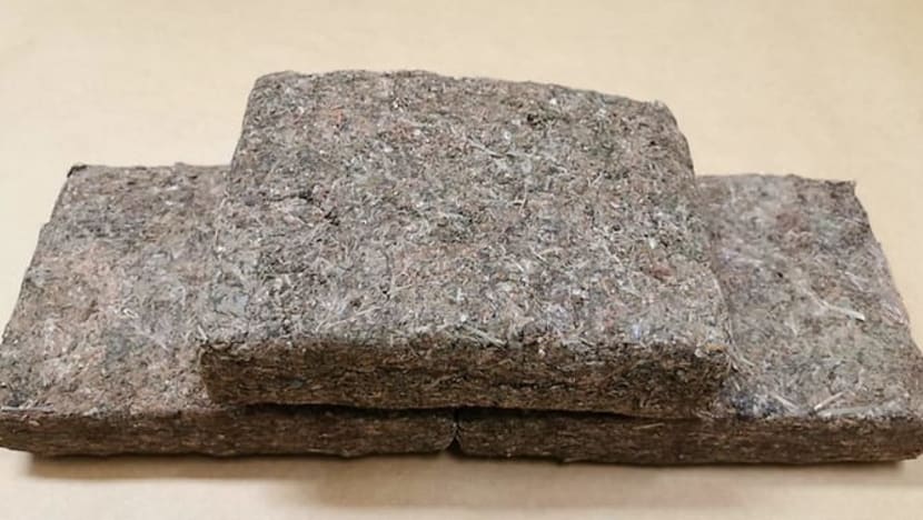 2 women arrested after S$30,000 worth of cannabis found in car