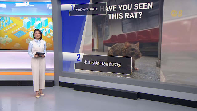 狮城有约 | 8分看视界：香港校长本地爆粗口引热议 老鼠出没东西线地铁招人嫌
