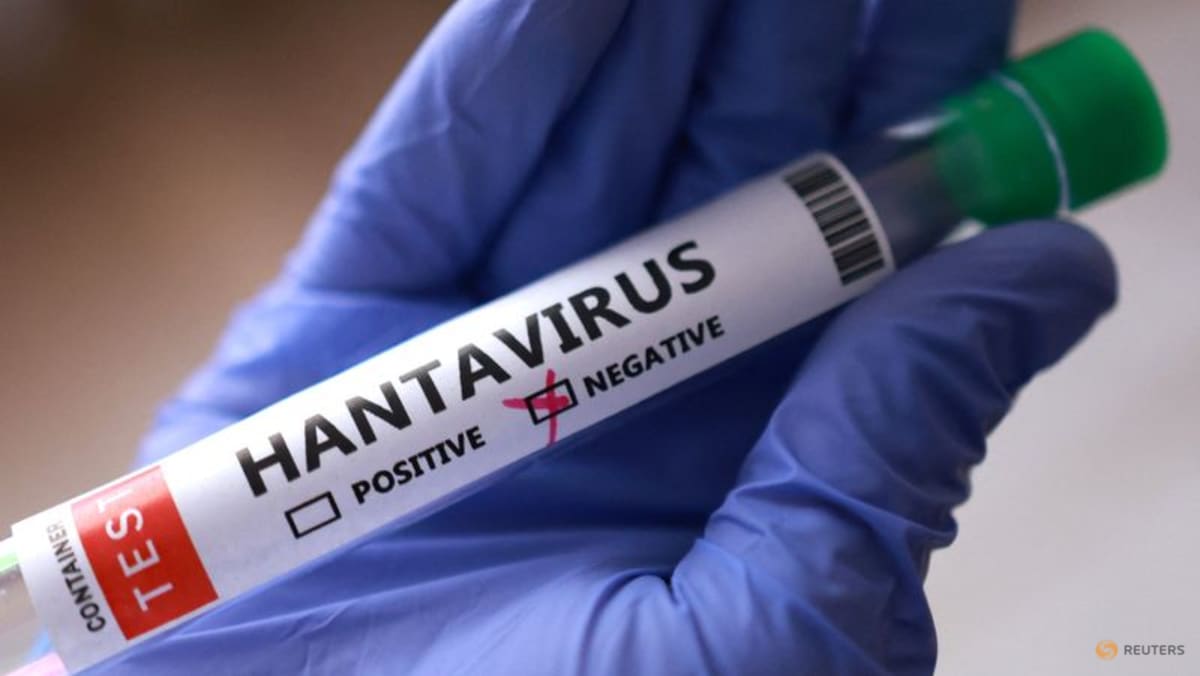 Tests in Italy, Spain come back negative in global hunt for hantavirus