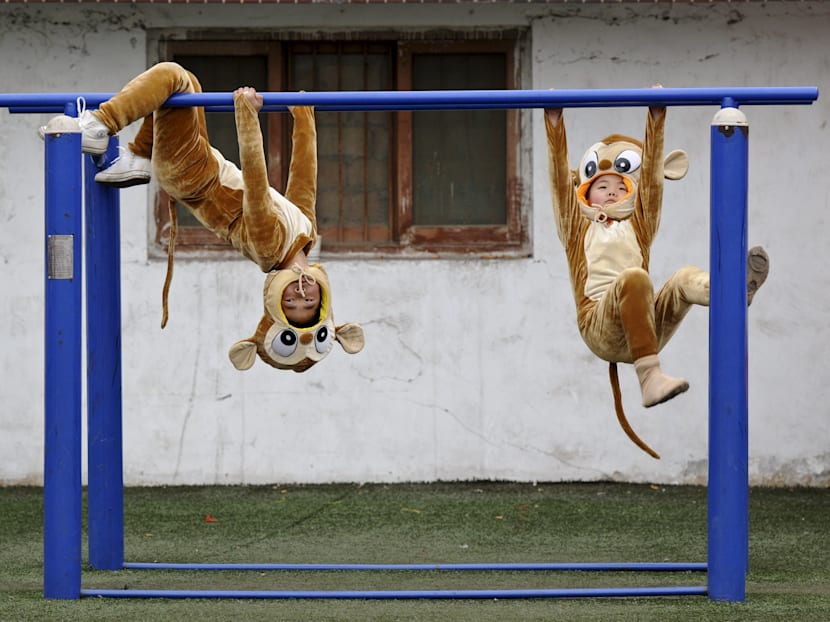 Leadership lessons from primates