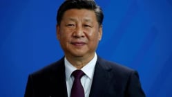 Related article image