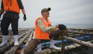 Growing Wild - Project Castaway Behind The Scenes: Overseas
