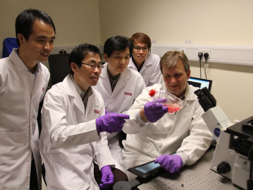 In breakthrough, scientists develop humanised mouse model for malaria research