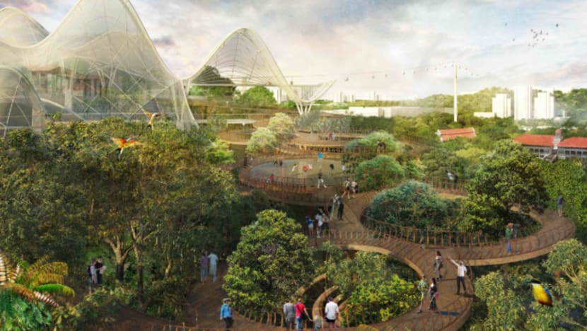 Related article image