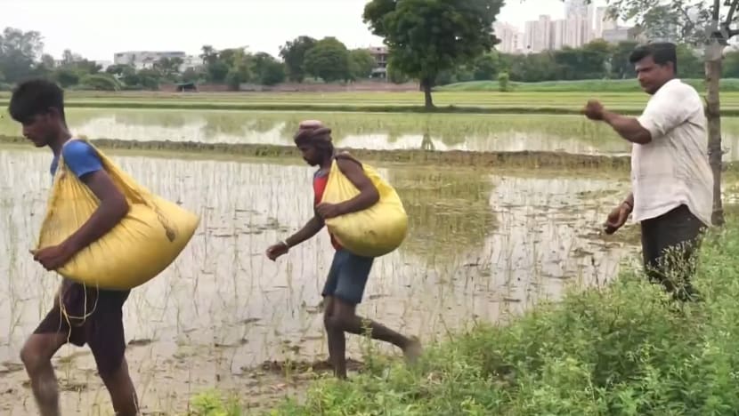 India’s early monsoon season brings mixed fortunes to farmers India’s early monsoon season brings mixed fortunes to farmers