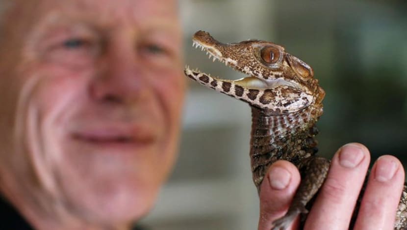 Related article image
