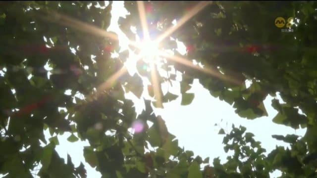 极端天气席卷中国 多地遭遇高温或暴雨侵袭