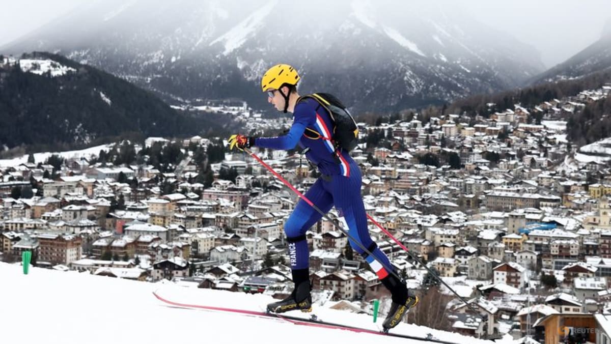 SkiMo-France's Harrop and Anselmet win mixed relay gold