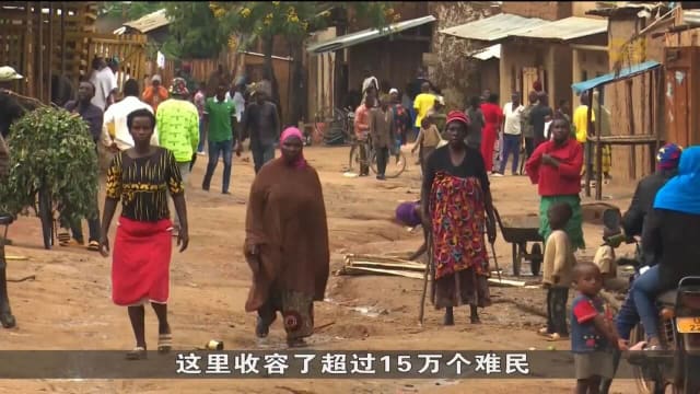 乌干达难民营严重仰赖木材作为燃料和建材 加剧森林被大量砍伐问题