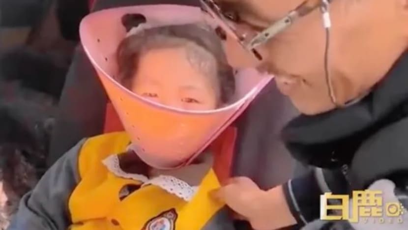Penggunaan kon anjing untuk bendung masa skrin cucu cetus perbahasan hangat dalam kalangan warga net