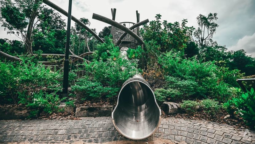 First look: New features open at Singapore Botanic Gardens’ Gallop Extension First look: New features open at Singapore Botanic Gardens’ Gallop Extension