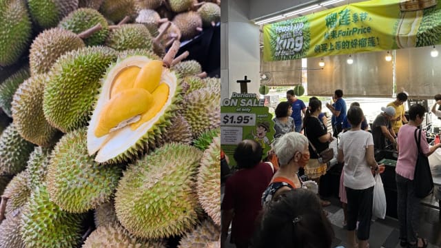#sgdeals FairPrice年度榴梿促销回归，甘榜榴梿每个只要$1.95！