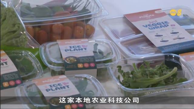 新马签署柔新经济特区协定 本地企业对到柔佛设厂兴趣大增