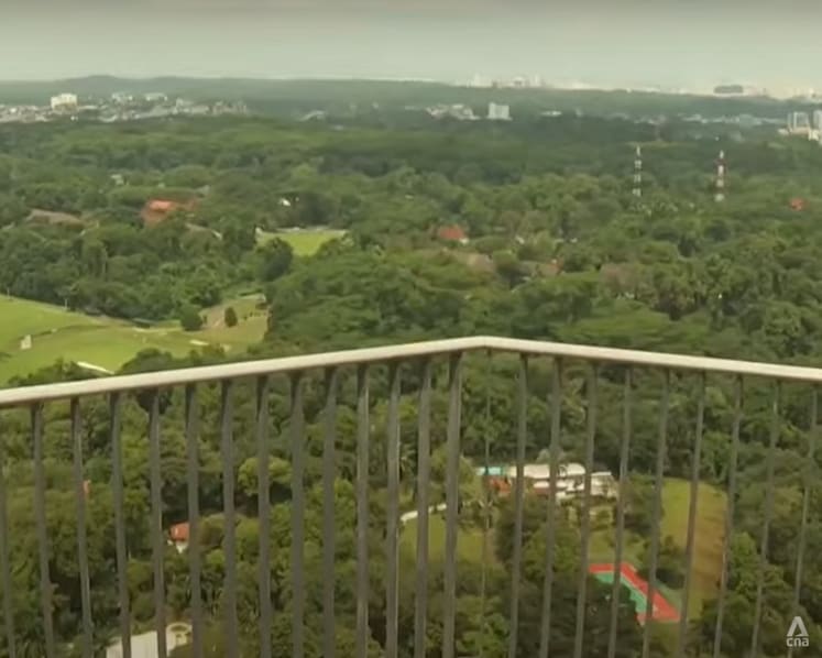 New Year crowds at public housing estate sky gardens: Designated lifts, signs to control situation