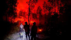 Related article image