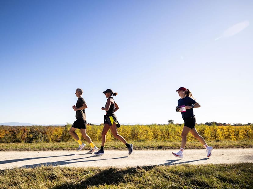 Awaken your active self in New Zealand