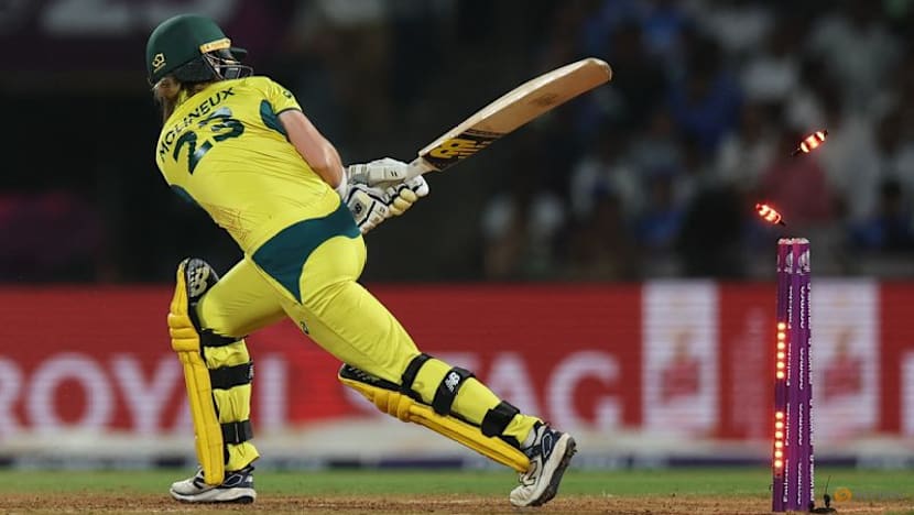 Molineux fit to lead Australia at T20 World Cup after injury return