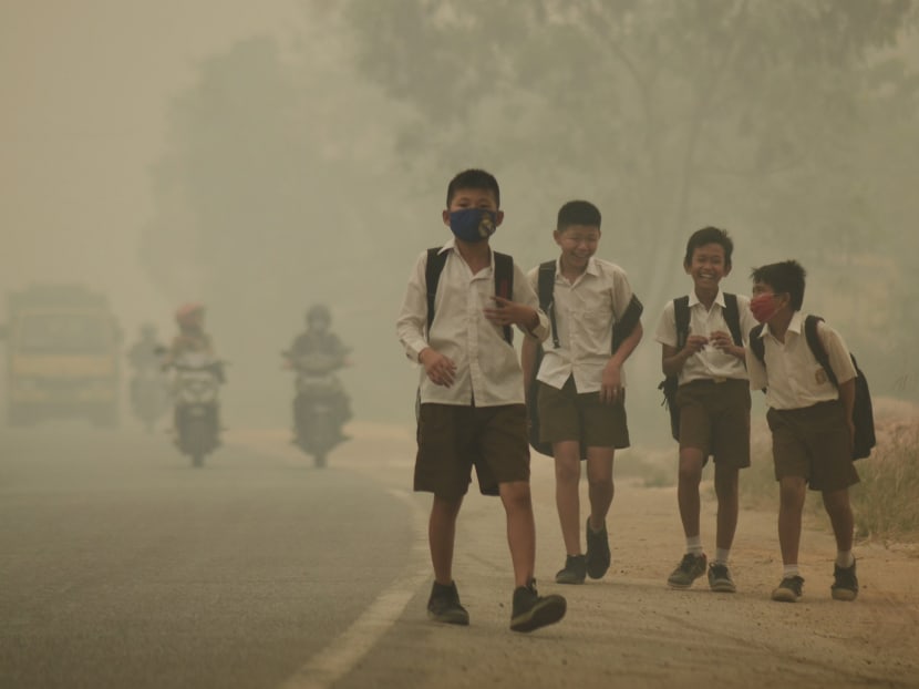 Gallery: Indonesia making progress in tackling haze: Ng Eng Hen