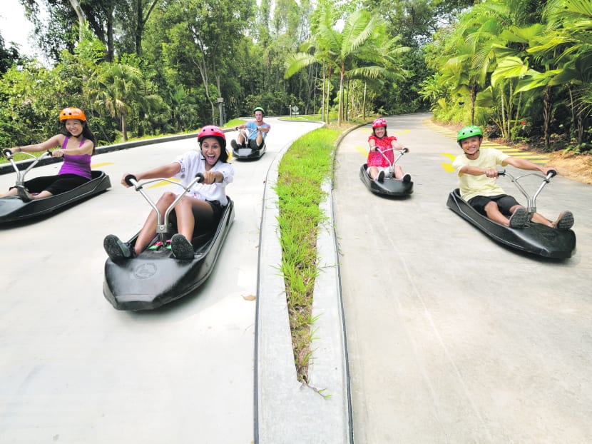 Escape to Sentosa Part 1: For the family