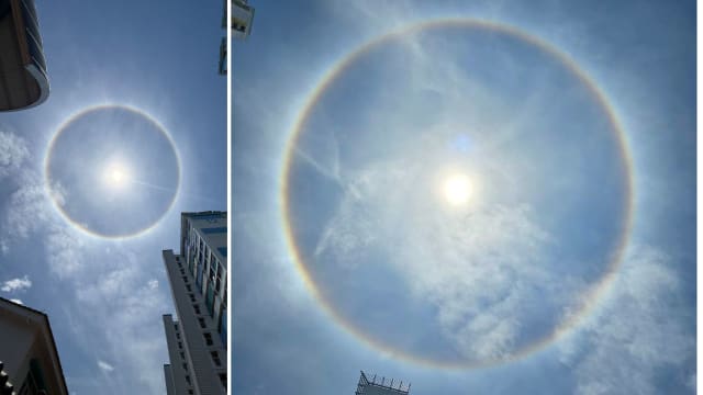 本地中午现罕见日晕 公众拍照分享奇景