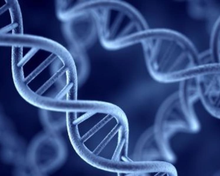 First genetic databank in Singapore to help healthcare practitioners in Asia make more accurate diagnosis