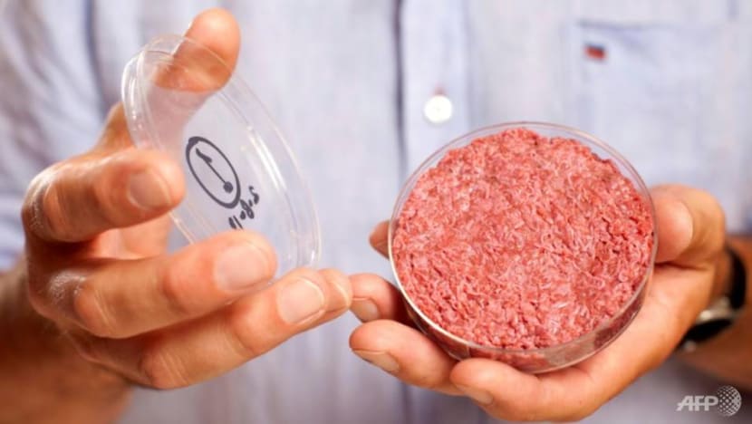 Commentary: Lab meat sceptics, please just get out of the way Commentary: Lab meat sceptics, please just get out of the way