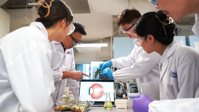 眼睛在光下自我保湿？国大新研究以“光合作用”治疗干眼症