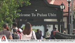 NParks to repurpose 5 kampong houses on Pulau Ubin to strengthen island's heritage 