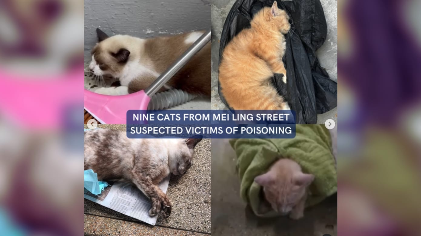 copy_of_2023_new_8world_logo_y