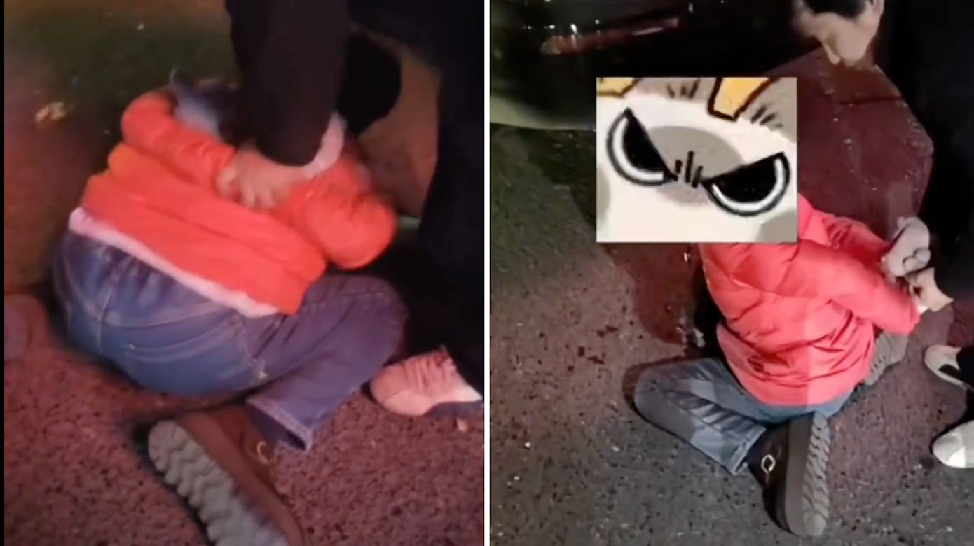 湖南女子当街抢小孩  被民众合力制服后哀求：“我错了”