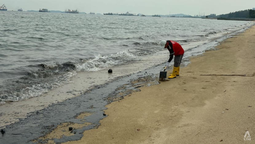 Oil spill clean-up at East Coast Park complete, all beaches reopened Oil spill clean-up at East Coast Park complete, all beaches reopened