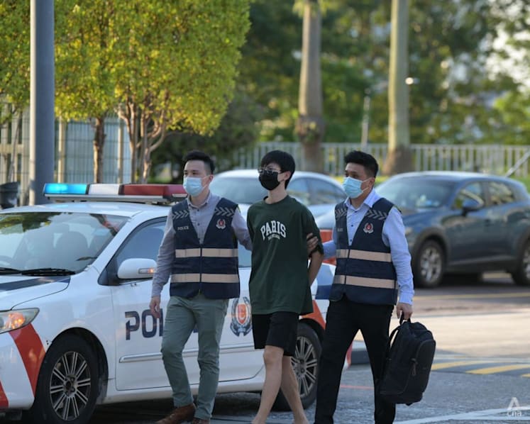 Singaporean man who helped Thai wife in S$25 million Tradenation luxury goods scam jailed