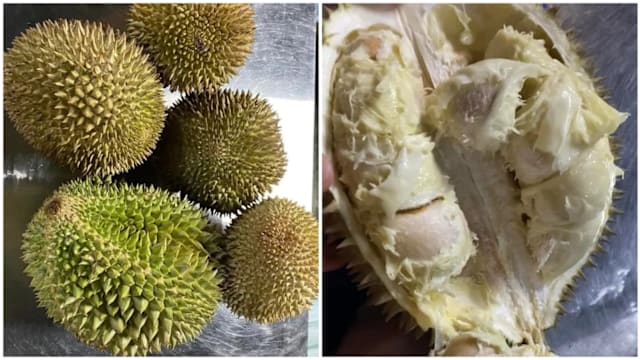 马国女子疑买到“假猫山王”发文投诉 业主：已全额退款