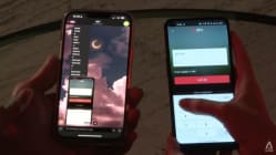 Related article image