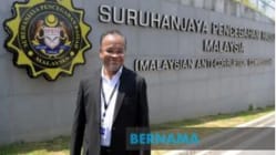 Related article image