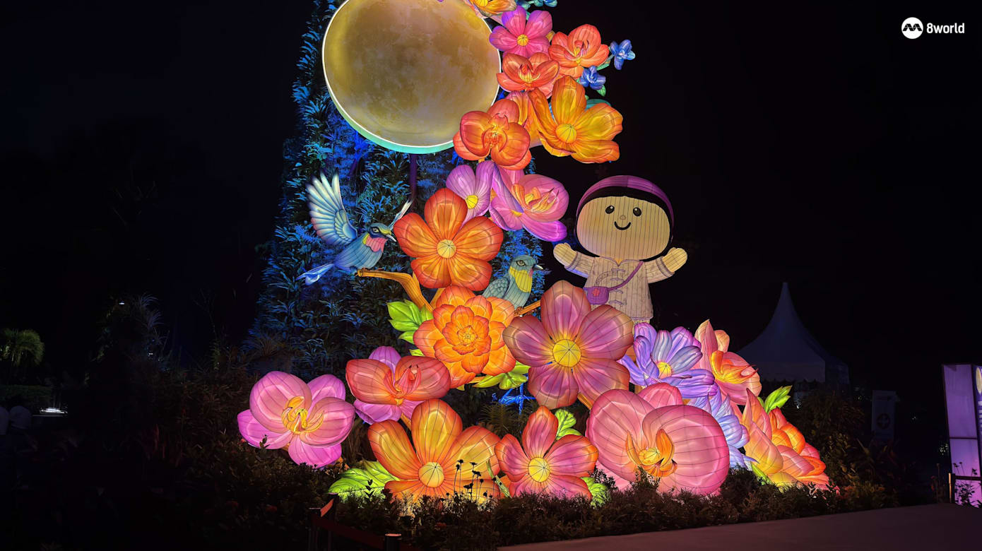 滨海湾花园亮灯迎中秋 跟随记者到现场赏灯