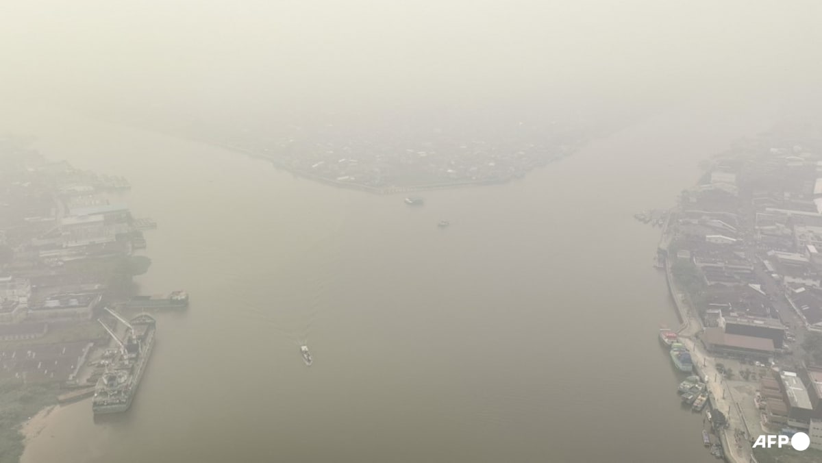 Indonesia closes 9 national parks temporarily following forest fires; prioritises firefighting in 6 provinces
