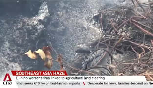 Southeast Asia haze: Malaysia calls on ASEAN to revisit its decades-old transboundary haze pact