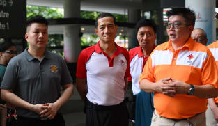  GE2025: NSP to field mix of old-timers, new faces in Tampines GRC, says party president