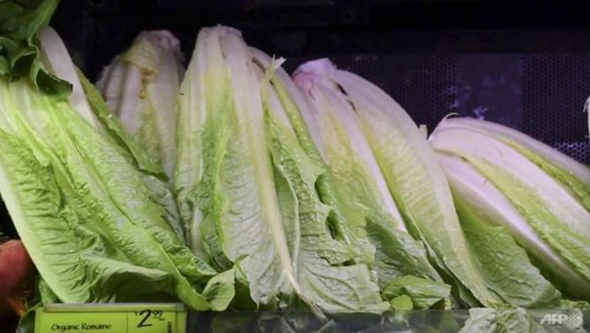 Nasihat AVA: Tidak pasti sumber salada lettuce romaine anda? Buang sahaja. Nasihat AVA: Tidak pasti sumber salada lettuce romaine anda? Buang sahaja.