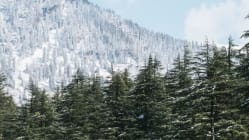 Related article image