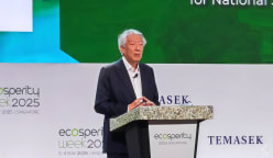 Asia integral to solve climate crisis, should collaborate for a low-carbon future: Teo Chee Hean