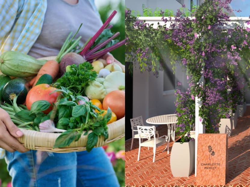 Gillman Barracks turns ‘green’ with inaugural local farm festival and new eco-friendly tenants