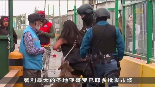 智利一闹事妇女被捕时抢走保安配枪 击伤三个人